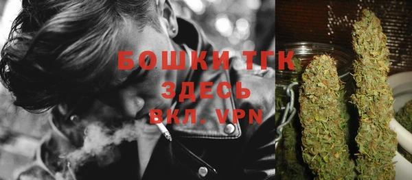 Альфа ПВП Нея