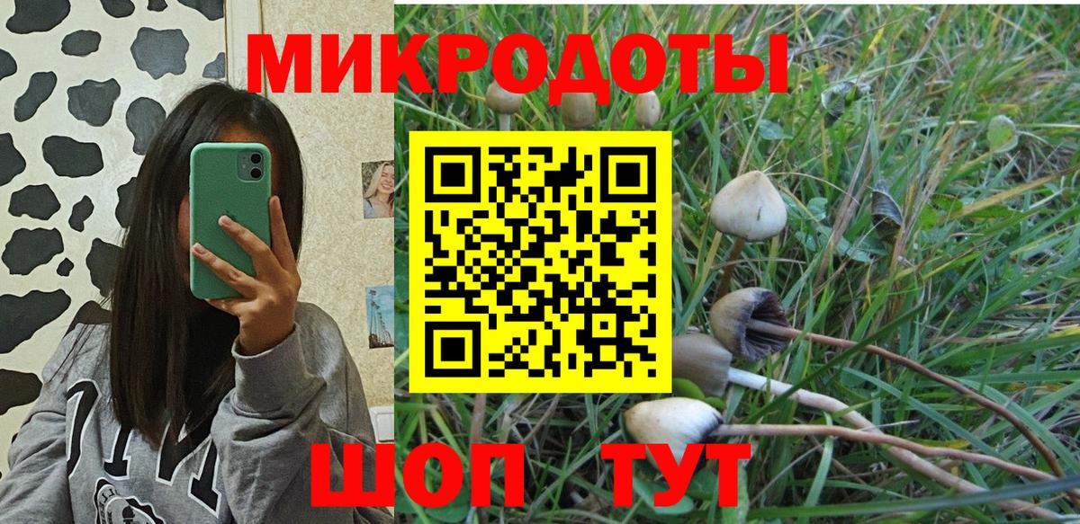 Галлюциногенные грибы MAGIC MUSHROOMS Ялуторовск
